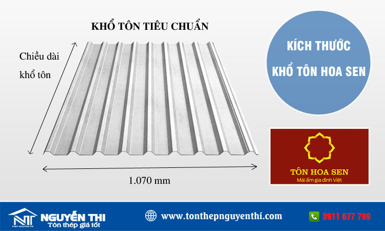 Kích thước khổ tôn hoa sen